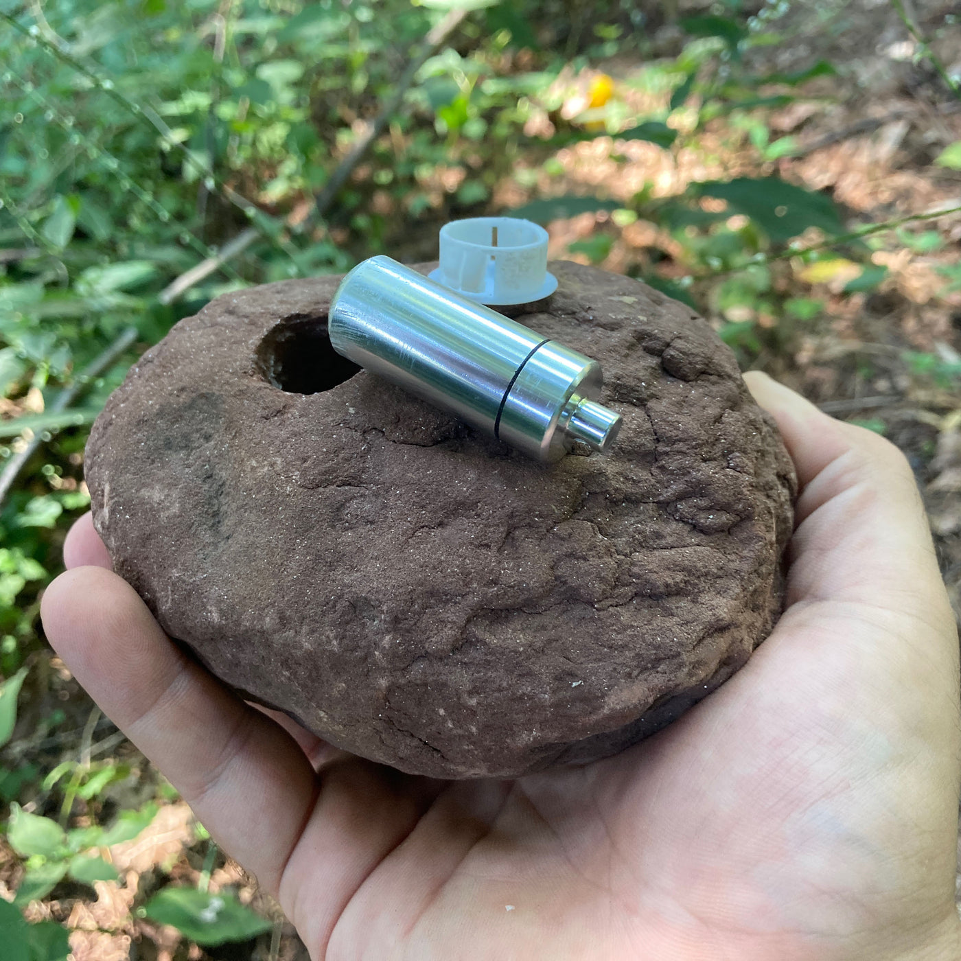 Devious Geocache | Real Rock - Large